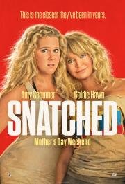 Дочь и мать её (Snatched) 2017