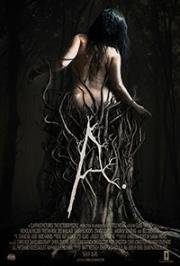 Эйла (Ayla) 2017