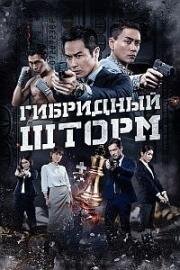 Гибридный шторм (2025)