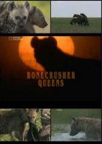 National Geographic: Гиена - царица хищников (Bonecrusher Queens) 2010