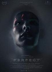 Высшая форма (Perfect) 2018