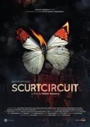 Короткое Замыкание (Scurtcircuit) 2017