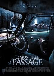 Последний поворот (Lemon Tree Passage) 2015