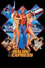 Малибу-экспресс (Malibu Express) 1985