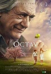 Октав (Octav) 2017