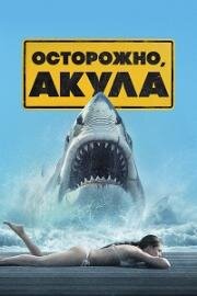 Осторожно, акулы (Shark Warning) (2024)