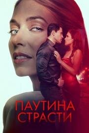 Паутина страсти (Demise) 2024