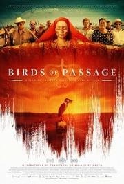 Перелётные птицы (Pájaros de verano) 2018