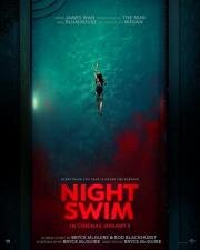 Проклятые воды (Night Swim) 2024