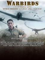 Птицы войны (Warbirds) 2008