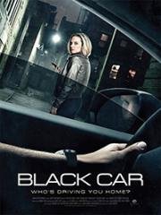 Роковая поездка (The Wrong Car) 2016