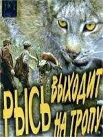 Рысь выходит на тропу 1982