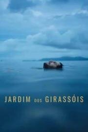 Сад подсолнухов (Jardim dos Girassóis) 2024
