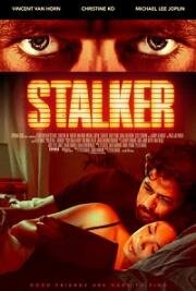 Шторы (Blinders (Stalker)) 2020