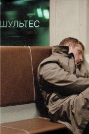 Шультес 2008