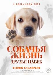 Собачья жизнь: Друзья навек (Zai jian, Li Kele) 2023