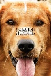 Собачья жизнь (A Dog's Purpose) 2017