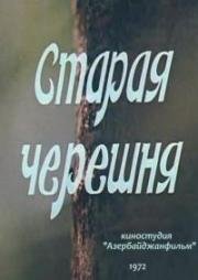 Старая черешня (Gilas ağaci) 1972