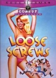 Сумасброды 2: Не в своем уме (Loose screws) 1985