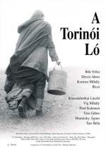 Туринская лошадь (A torin) 2012