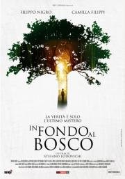 В глубине леса (In fondo al bosco) 2015