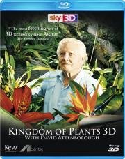 В королевстве растений (Kingdom of Plants 3D) 2012