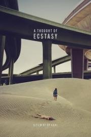В поисках наслаждения (A Thought of Ecstasy) 2017