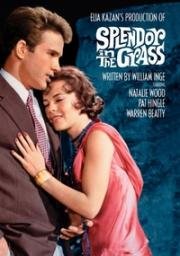 Великолепие в траве (Splendor in the Grass) 1961