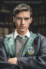 Волан-де-Морт: Корни наследника (Voldemort: Origins of the Heir) 2018