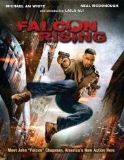 Восхождение Сокола (Falcon Rising) 2014