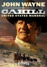 Жестяная звезда (Cahill U.S. Marshall) 1973