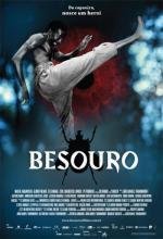 Жук (Besouro) 2009
