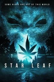 Звездная травка (Star Leaf ) 2015