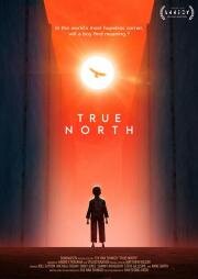 Настоящая Северная Корея (True North) 2020