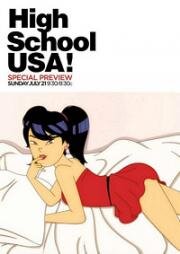 Средняя школа (High School USA!) 2013